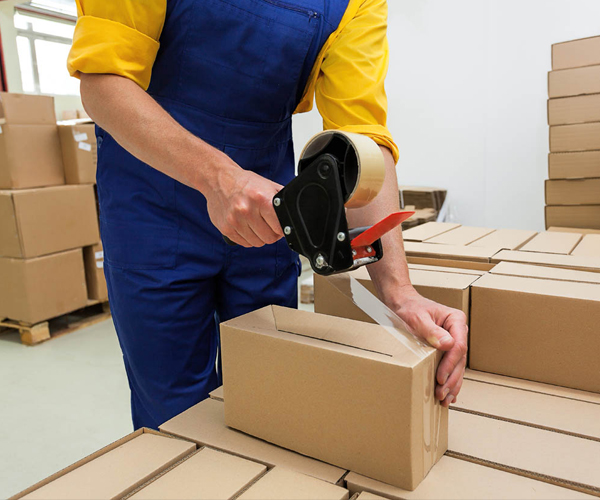 Domestic Packers and Movers